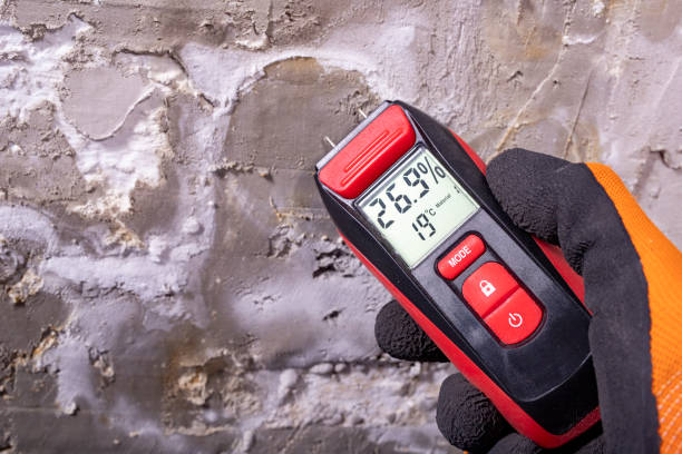 Best DIY Mold Remediation Support Services in Hammond, WI