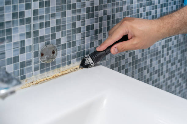 Best Residential Mold Remediation in Hammond, WI